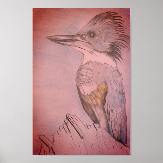 Hand Sketched Belted Kingfisher Poster (Framsidan)