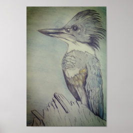 Hand Sketched Belted Kingfisher Poster