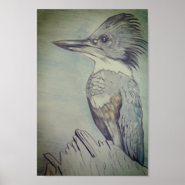 Hand Sketched Belted Kingfisher Poster (Framsidan)