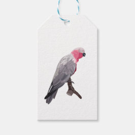 Hand-teckning rosa parrot, tropisk fågel sitta presentetikett