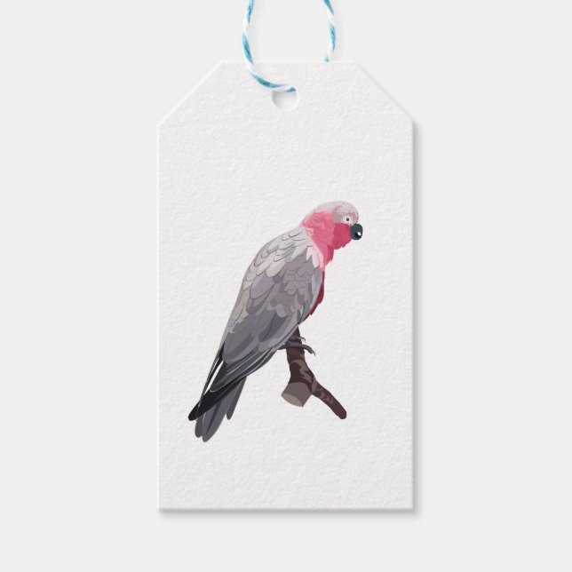 Hand-teckning rosa parrot, tropisk fågel sitta presentetikett (Framsidan)