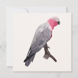 Hand-teckning rosa parrot, tropiska fåglar. inbjudningar
