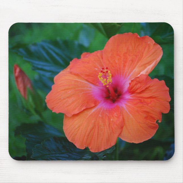 "Händande hibiskus" Mousepad Musmatta (Framsidan)