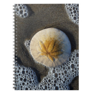 Handbok för Sand Dollar och Surfa Beach Photo Spir Anteckningsbok