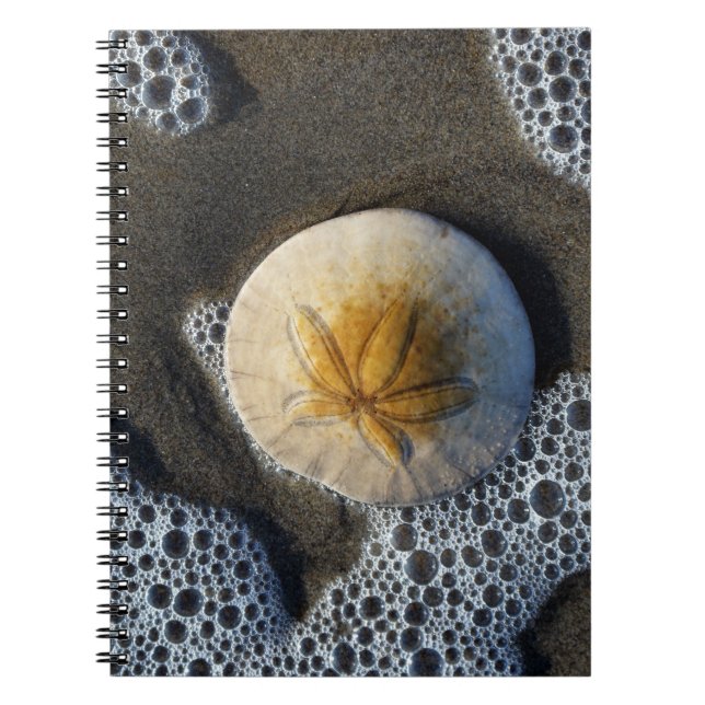 Handbok för Sand Dollar och Surfa Beach Photo Spir Anteckningsbok (Framsidan)