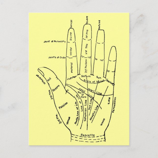 Handdiagram Vykort (Framsida)