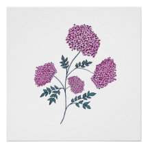 Handdragen Rosa Blommar, Elegant Botaniska Vår