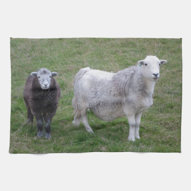 Handduk för Herdwick tacka- och LambTea Kökshandduk (Horisontell)