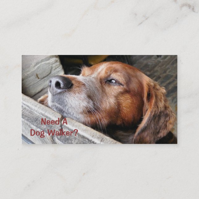 HANDEL, HUND WALKING. VISITKORT (Baksida)