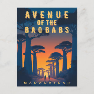 Handelsplatsen Baobabs Madagaskar - Retro African Vykort