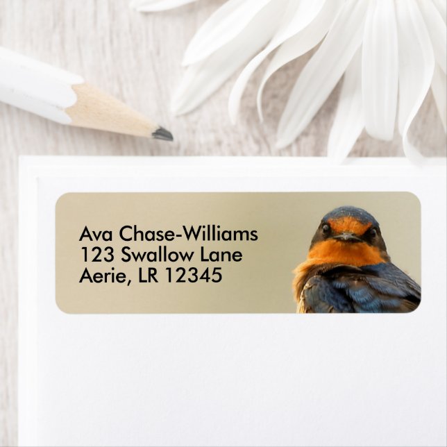 Handelsstjärnor med en barn Sväljer songbird Returadress Etikett (Insitu)