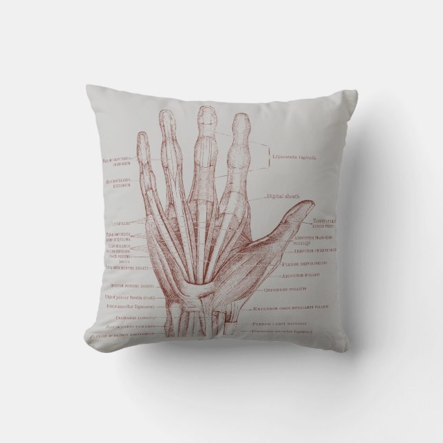 Handens fingers muskler - anatomi kudde (Framsida)
