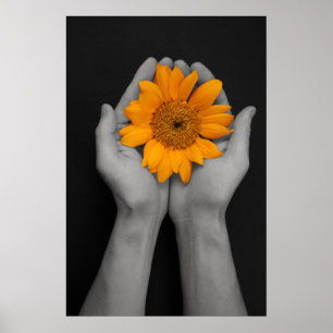 händer som kuper solrosen poster