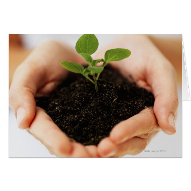 Händer som tar stickprov hälsningskort (Framsidan Horizontal)