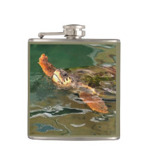 Händer upp för en ren havssköldpadda