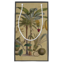 Handflatan Antique Tropical Fruit Botanical Art