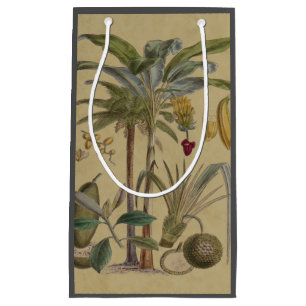 Handflatan Antique Tropical Fruit Botanical Art