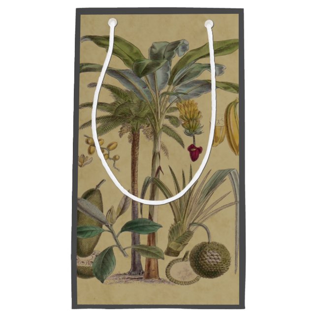 Handflatan Antique Tropical Fruit Botanical Art (Framsidan)