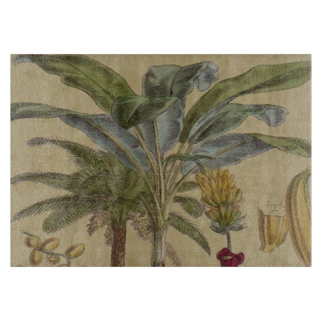 Handflatan Antique Tropical Fruit Botanical Art (Framsidan)
