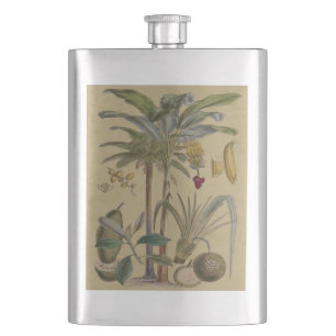 Handflatan Antique Tropical Fruit Botanical Art Fickplunta