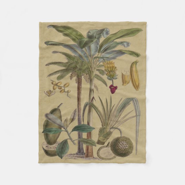 Handflatan Antique Tropical Fruit Botanical Art Fleecefilt (Framsidan)