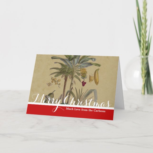 Handflatan Antique Tropical Fruit Botanical Art Helgkort (Framsida)