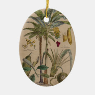 Handflatan Antique Tropical Fruit Botanical Art Julgransprydnad Keramik
