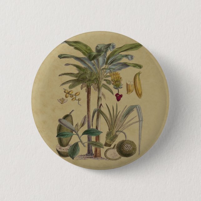 Handflatan Antique Tropical Fruit Botanical Art Knapp (Framsida)