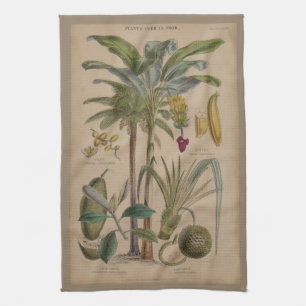 Handflatan Antique Tropical Fruit Botanical Art Kökshandduk