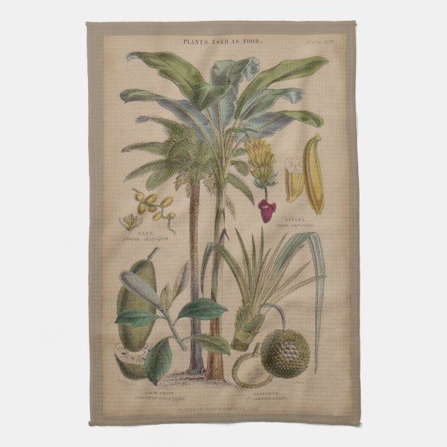 Handflatan Antique Tropical Fruit Botanical Art Kökshandduk (Vertikal)