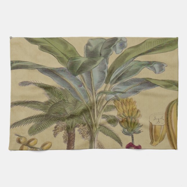 Handflatan Antique Tropical Fruit Botanical Art Kökshandduk (Horisontell)