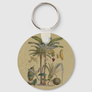 Handflatan Antique Tropical Fruit Botanical Art Nyckelring