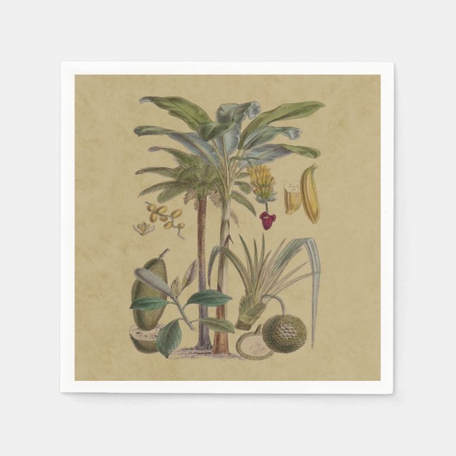 Handflatan Antique Tropical Fruit Botanical Art Pappersservett (Framsidan)