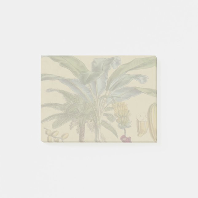Handflatan Antique Tropical Fruit Botanical Art Post-it Block (Framsida)