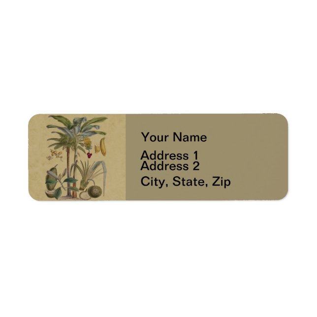 Handflatan Antique Tropical Fruit Botanical Art Returadress Etikett (Framsidan)