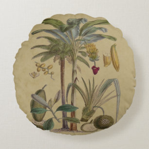 Handflatan Antique Tropical Fruit Botanical Art Rund Kudde