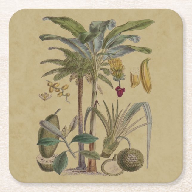 Handflatan Antique Tropical Fruit Botanical Art Underlägg Papper Kvadrat (Framsidan)