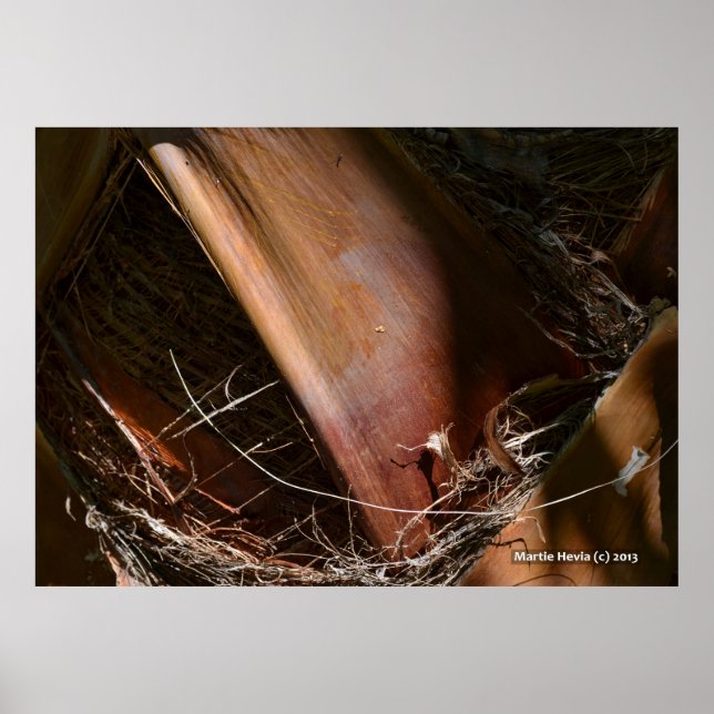 Handflatan Bark Poster (Framsidan)