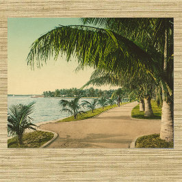 Handflatan Beach 1898 vintage Florida scen Poster