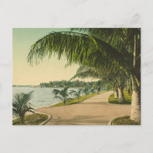 Handflatan Beach 1898 vintage Florida scen Vykort