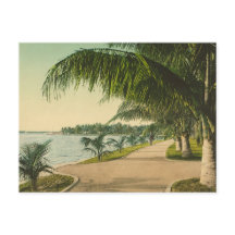 Handflatan Beach 1898 vintage Florida scen