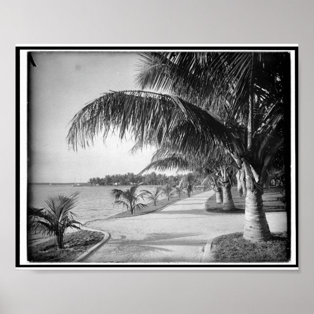 Handflatan Beach, Florida c1894 Vintage Poster (Framsidan)