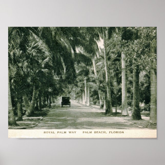 Handflatan Beach, Florida, Royal Handflatan Way Vi Poster (Framsidan)