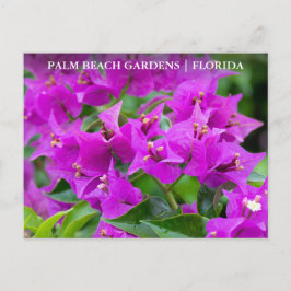 Handflatan Beach Gardens Florida Blommigt Travel Vykort