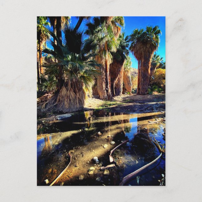 Handflatan Canyon California Vykort (Framsida)