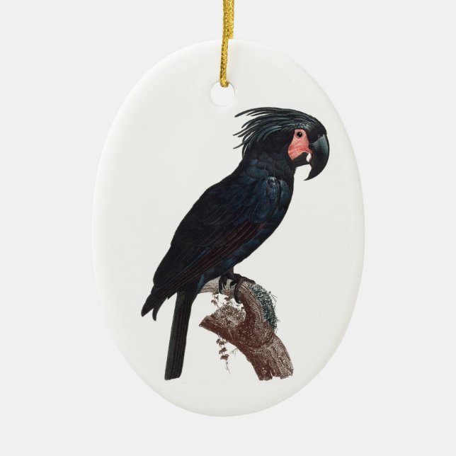 Handflatan Cockatoo, Probosciger aterrimus Parrot Julgransprydnad Keramik (Framsidan)