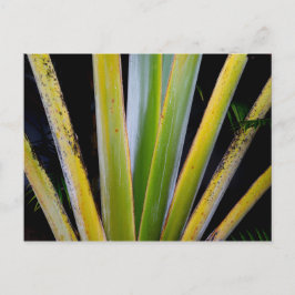 Handflatan Fläkt Vykort