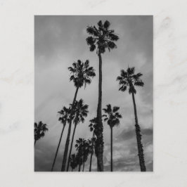 Handflatan för B&W Los Angeles Vykort