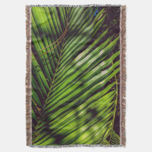 Handflatan Frond, Gräs Nål och skuggor Tomma blad Filt