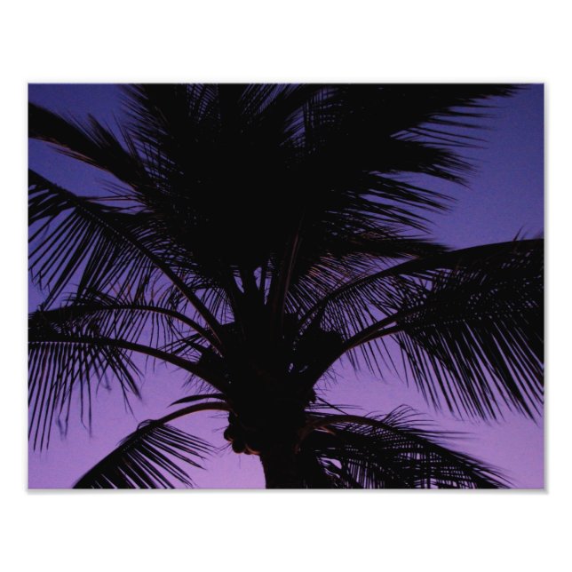 Handflatan Frond Silhouette Fototryck (Framsidan)